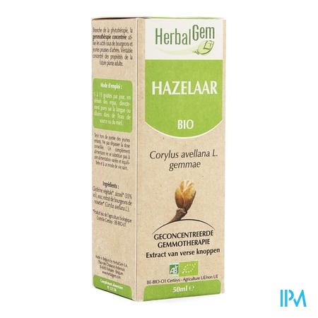 Herbalgem Hazelaar Maceraat 50ml