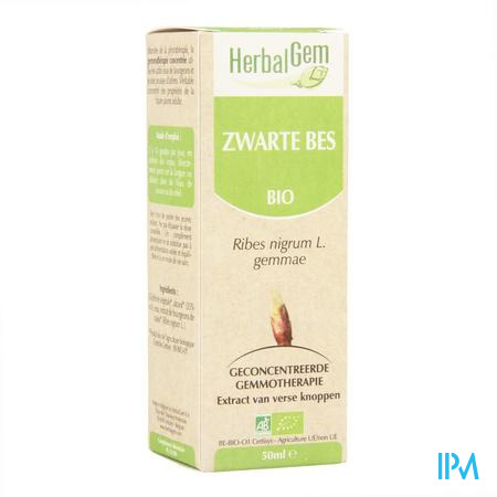 Herbalgem Zwarte Bes Maceraat 50ml