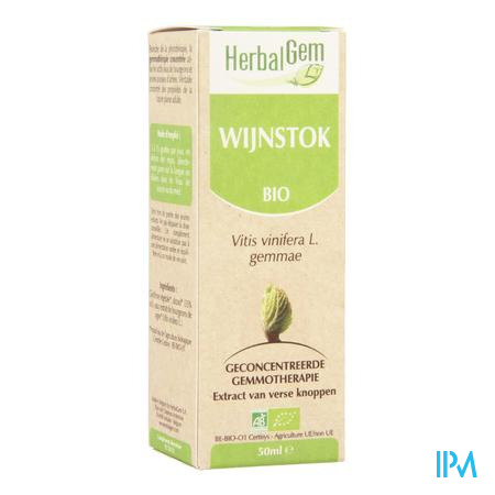 Herbalgem Wijnstok Maceraat 50ml