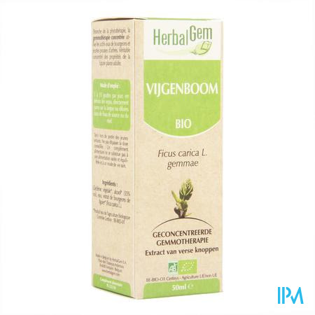 Herbalgem Vijgenboom Maceraat 50ml