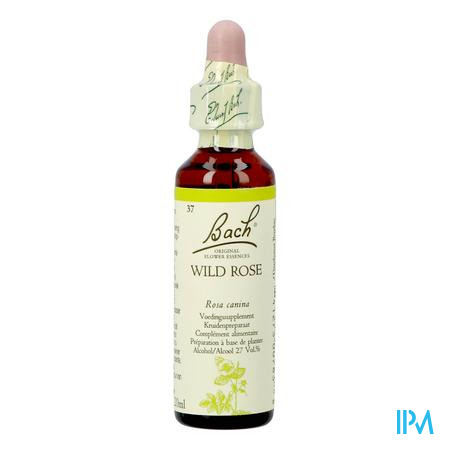 Bach Flower Remedie 37 Wild Rose 20ml