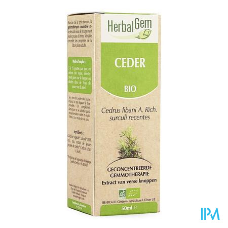 Herbalgem Libanonceder Maceraat 50ml