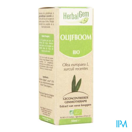 Herbalgem Olijfboom Maceraat 50ml