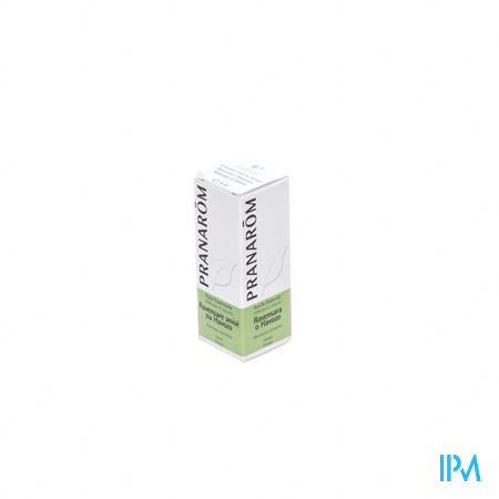 Ravensare Anis Ravensara Arom.schors Ess Olie 10ml