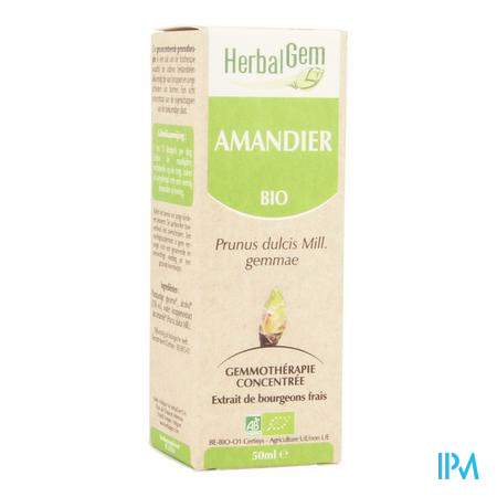 Herbalgem Amandel Maceraat 50ml