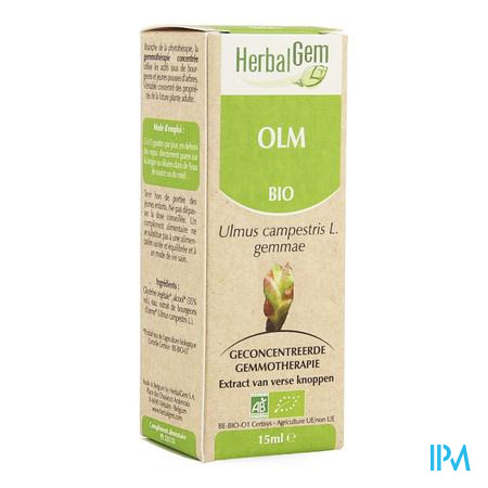 Herbalgem Olm Maceraat 15ml