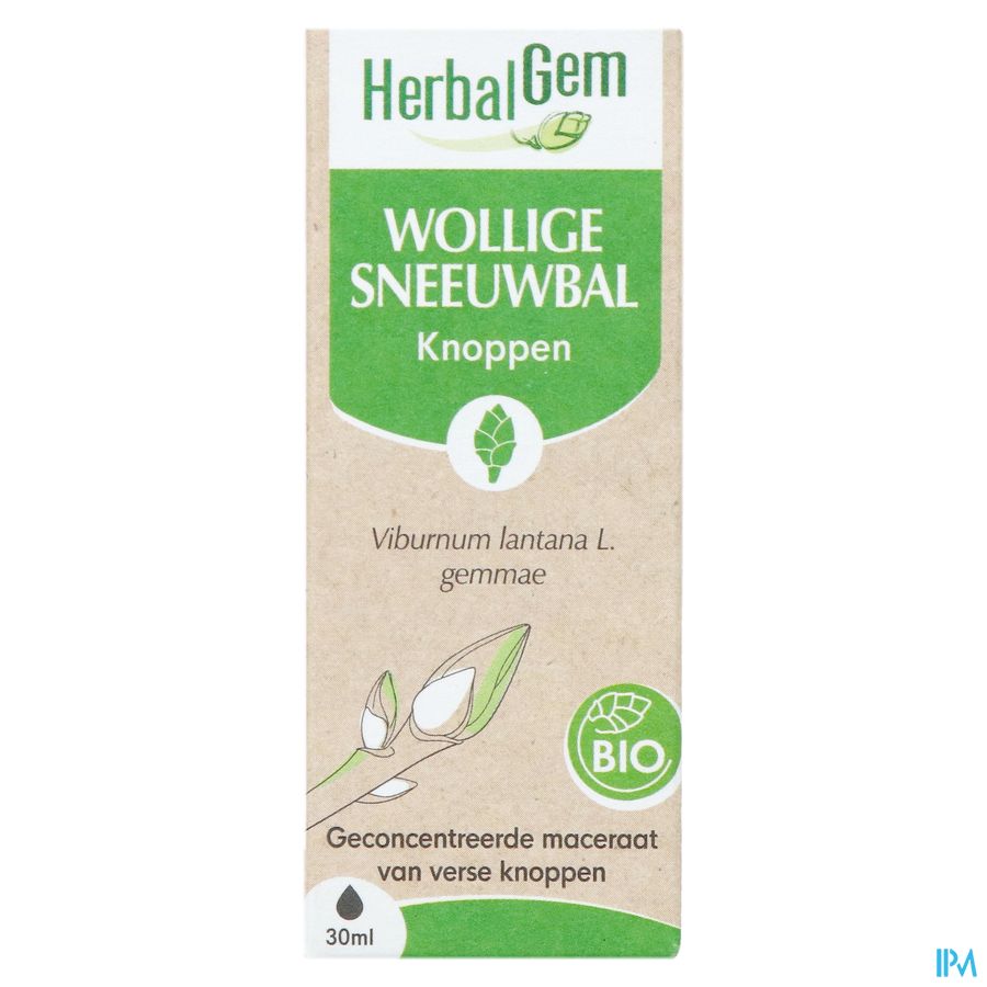 Herbalgem Sneeuwbal Bio 30ml 4