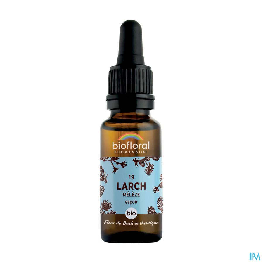 Biofloral Bachbloesem 19 Larch Lariks Bio 20ml Biofloral Bachbloesem 19 Larch Lariks Bio 20ml