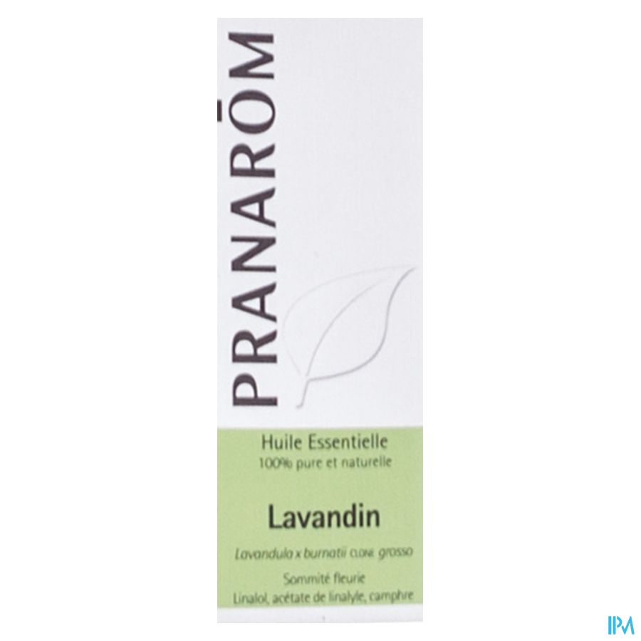 Lavandin Grosso Ess Olie 10ml Pranarom