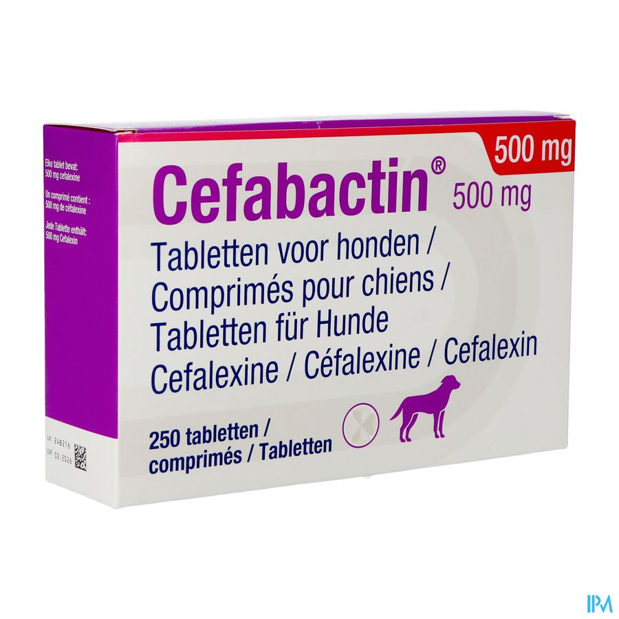 Cefabactin 500mg Hond Tabl 250 Cefabactin 500mg Hond Tabl 250