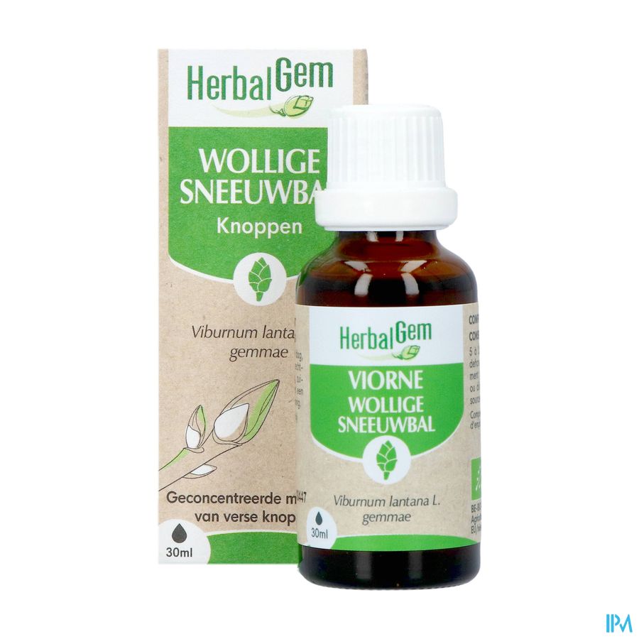 Herbalgem Sneeuwbal Bio 30ml 7