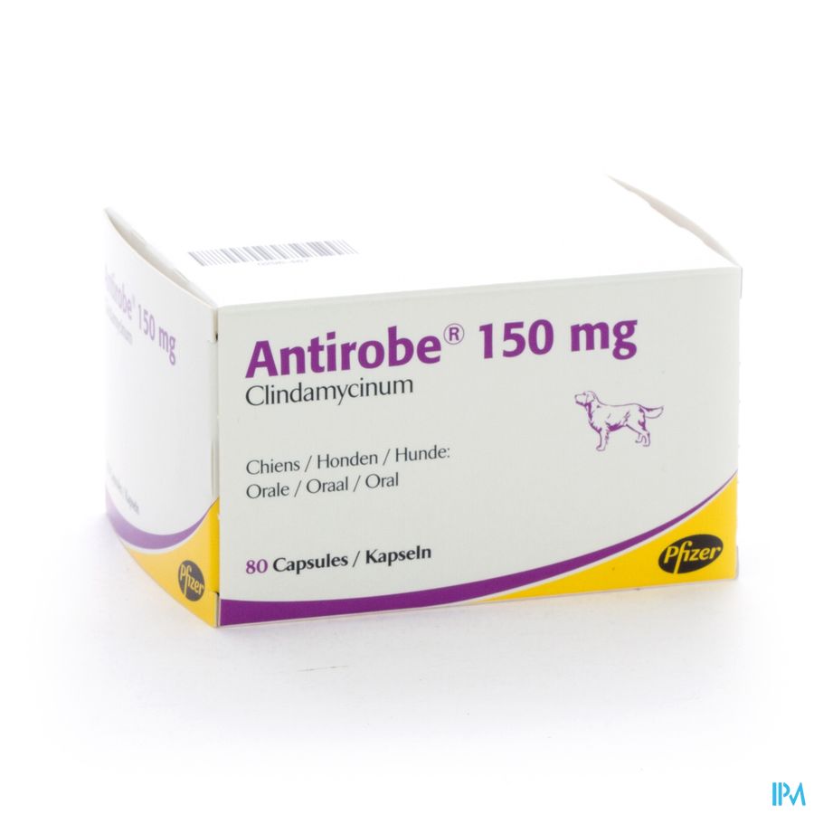 Antirobe Caps 150mg 80 (8x10) Antirobe Caps 150mg 80 (8x10)