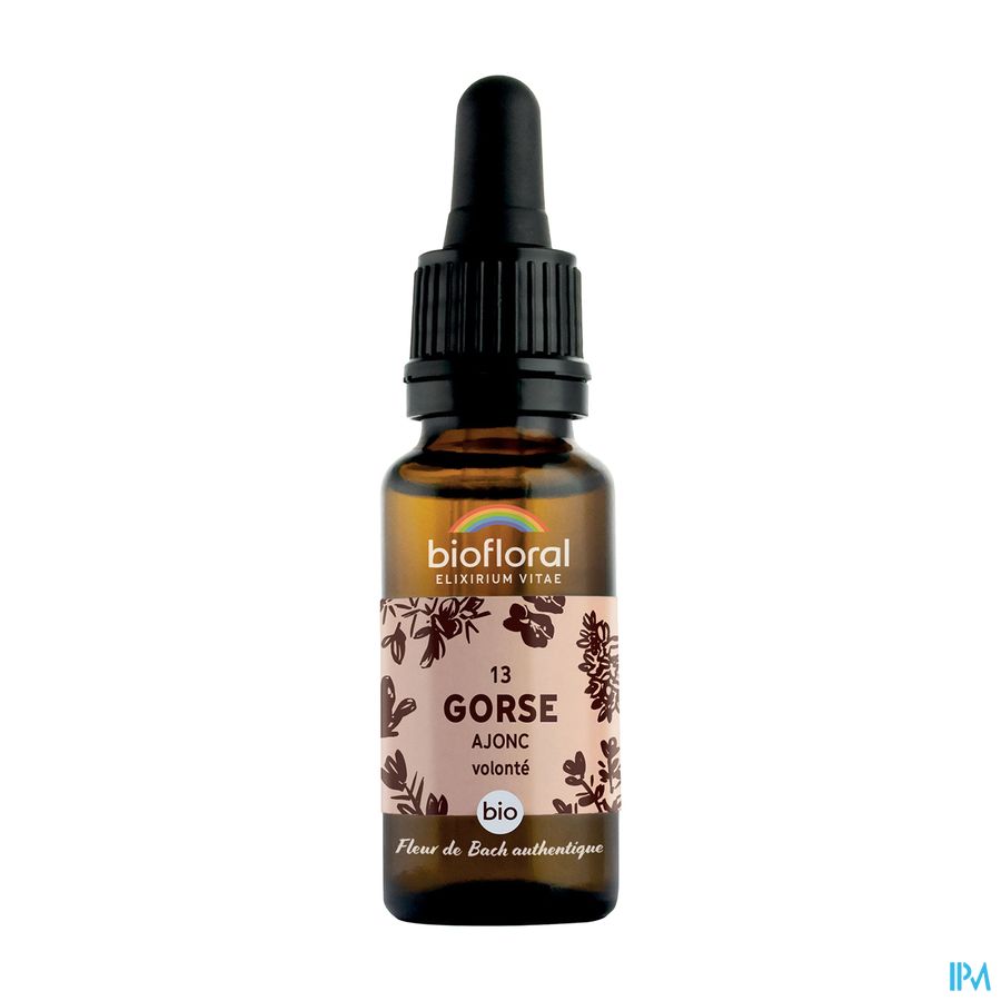 Biofloral Fleurs De Bach 13 Gorse Ajonc Bio 20ml Biofloral Fleurs De Bach 13 Gorse Ajonc Bio 20ml