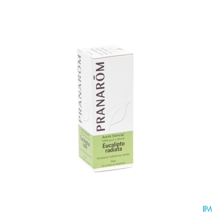 Pranarom Eo Eucalyptus Radiata 10ml 1