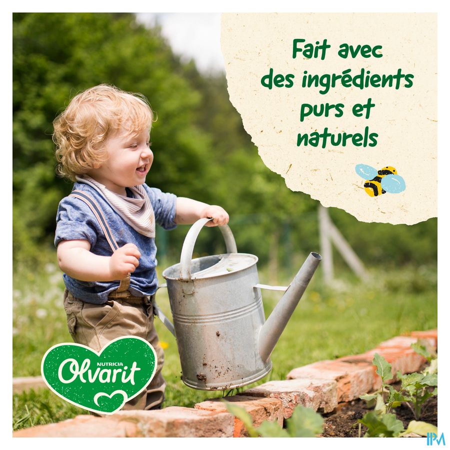 Olvarit Schotel 12m+ Spaghetti Bolognese 1x230gr 7