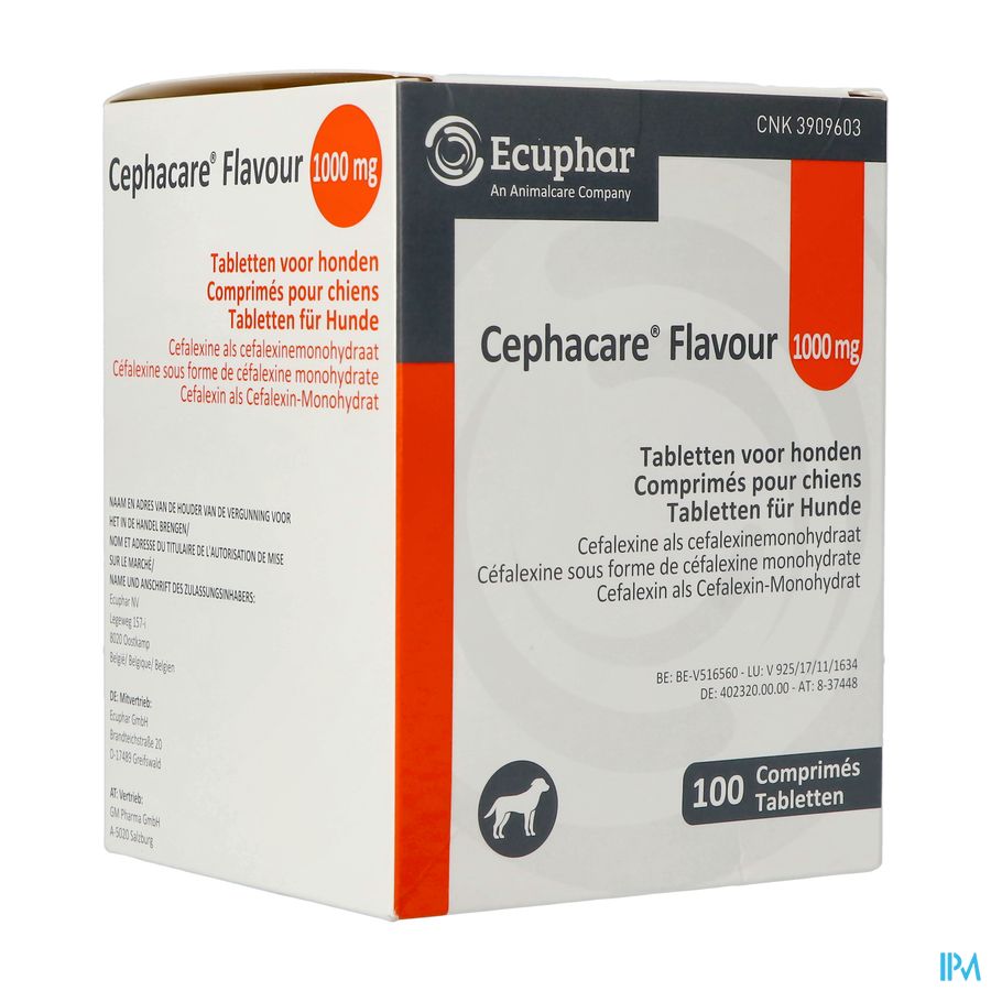 Cephacare Flavour 1000mg Comp Honden 100 Cephacare Flavour 1000mg Comp Honden 100
