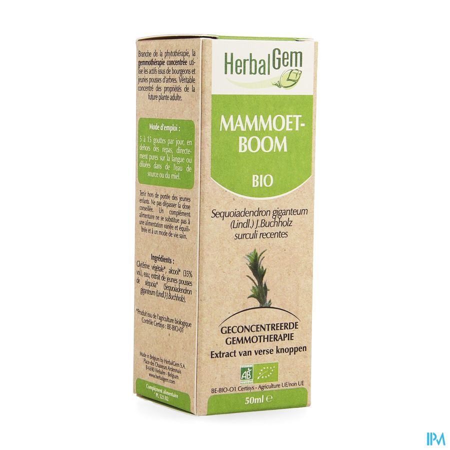 Herbalgem Sequoia Maceraat 50ml Herbalgem Sequoia Maceraat 50ml