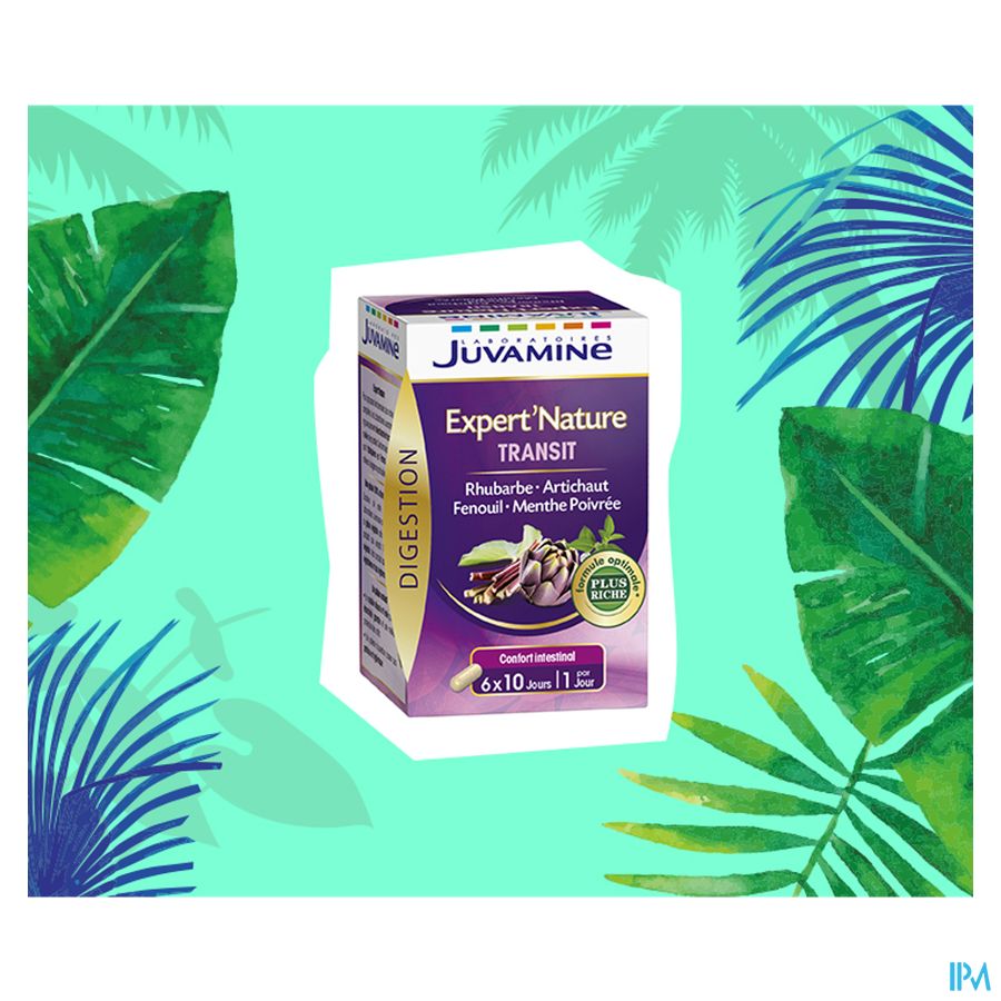 Juvamine Darmtransit Comp 60 Juvamine Darmtransit Comp 60