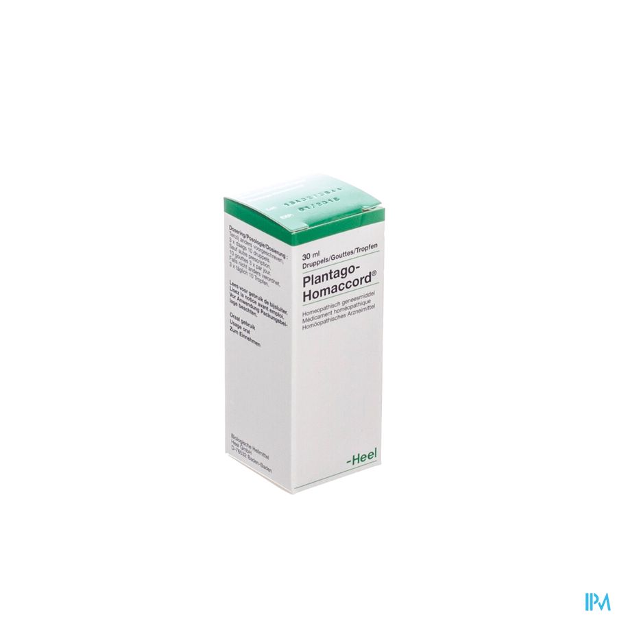 Plantago-homaccord Gutt 30ml Heel Plantago-homaccord Gutt 30ml Heel