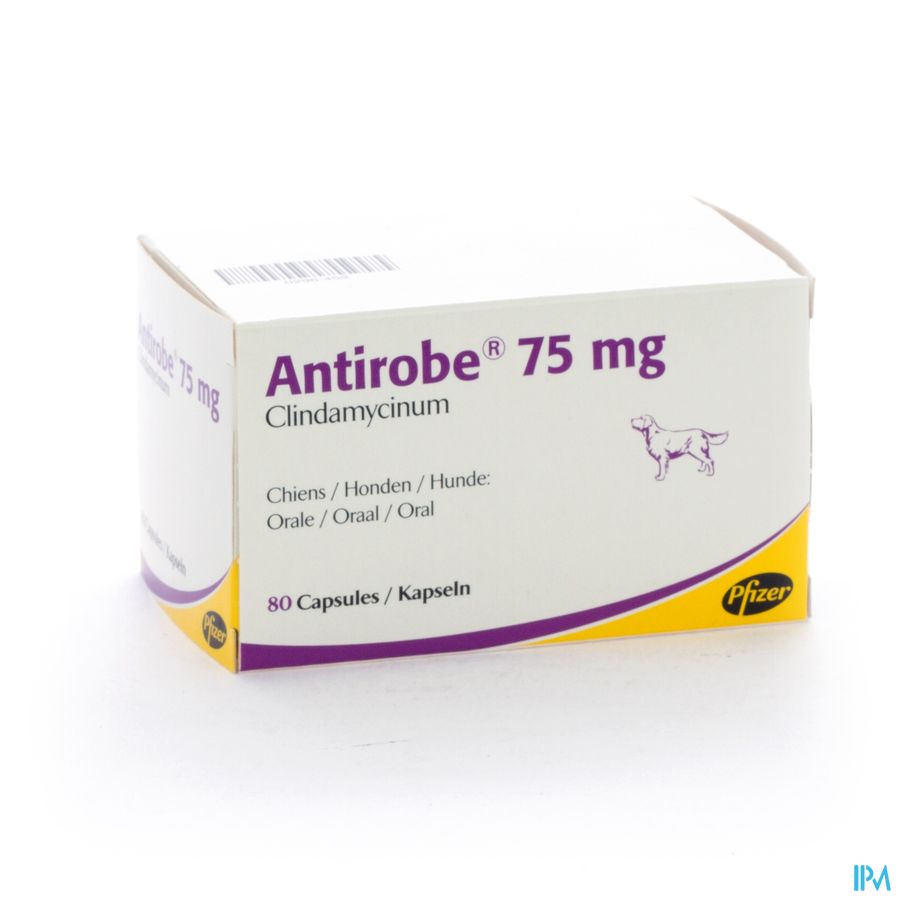 Antirobe Caps 75mg 80 (8x10) Antirobe Caps 75mg 80 (8x10)