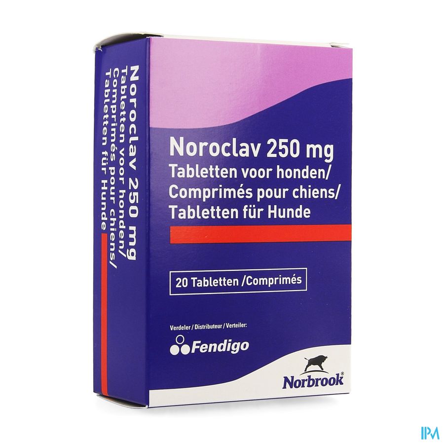 Noroclav Hond Comp 20x250mg Noroclav Hond Comp 20x250mg