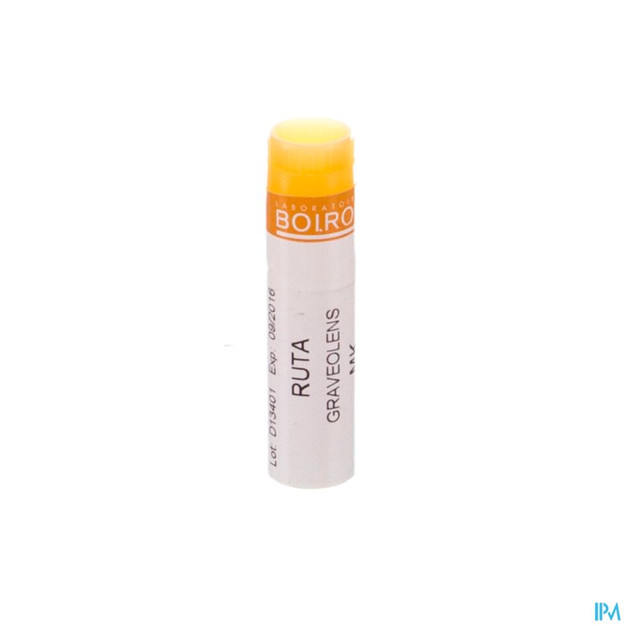 Ruta Graveolens 1mk Gl Boiron