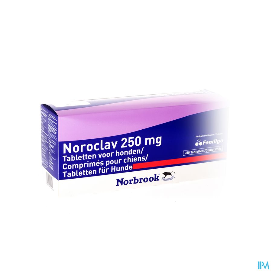 Noroclav Comp 250x250mg Noroclav Comp 250x250mg