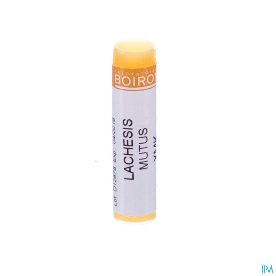 Lachesis Mutus Xmk Gl Boiron