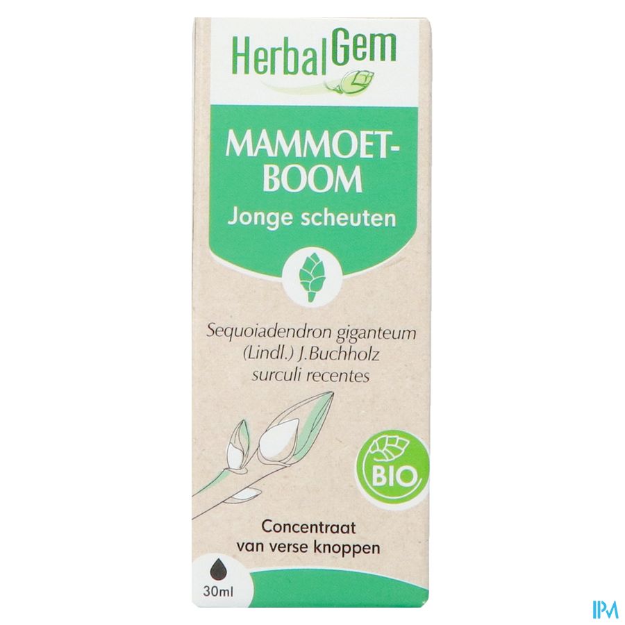 Herbalgem Mammoetboom Bio 30ml 4