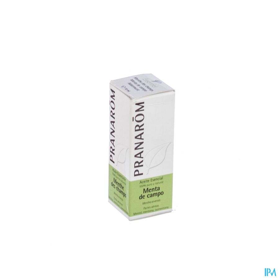 Menthe Des Champs Hle Ess 10ml Pranarom Menthe Des Champs Hle Ess 10ml Pranarom