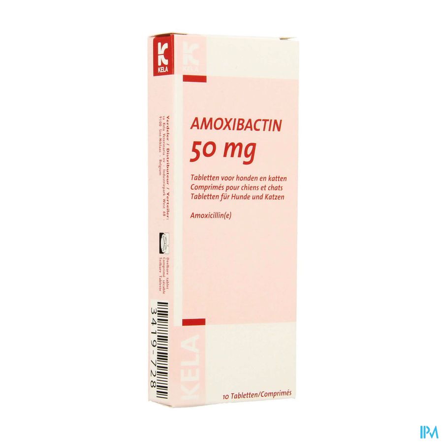 Amoxibactin 50mg Hond Kat Comp 10 Amoxibactin 50mg Hond Kat Comp 10