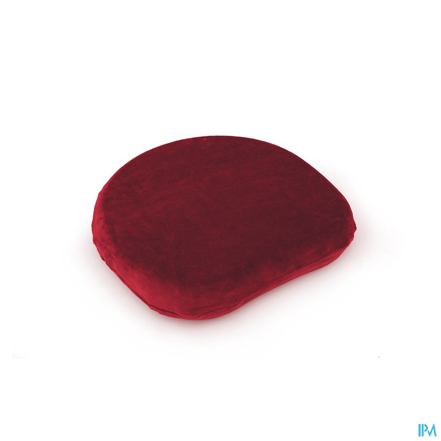Sissel Housse Bordeaux Veours Pour Sitfit Plus Sissel Housse Bordeaux Veours Pour Sitfit Plus