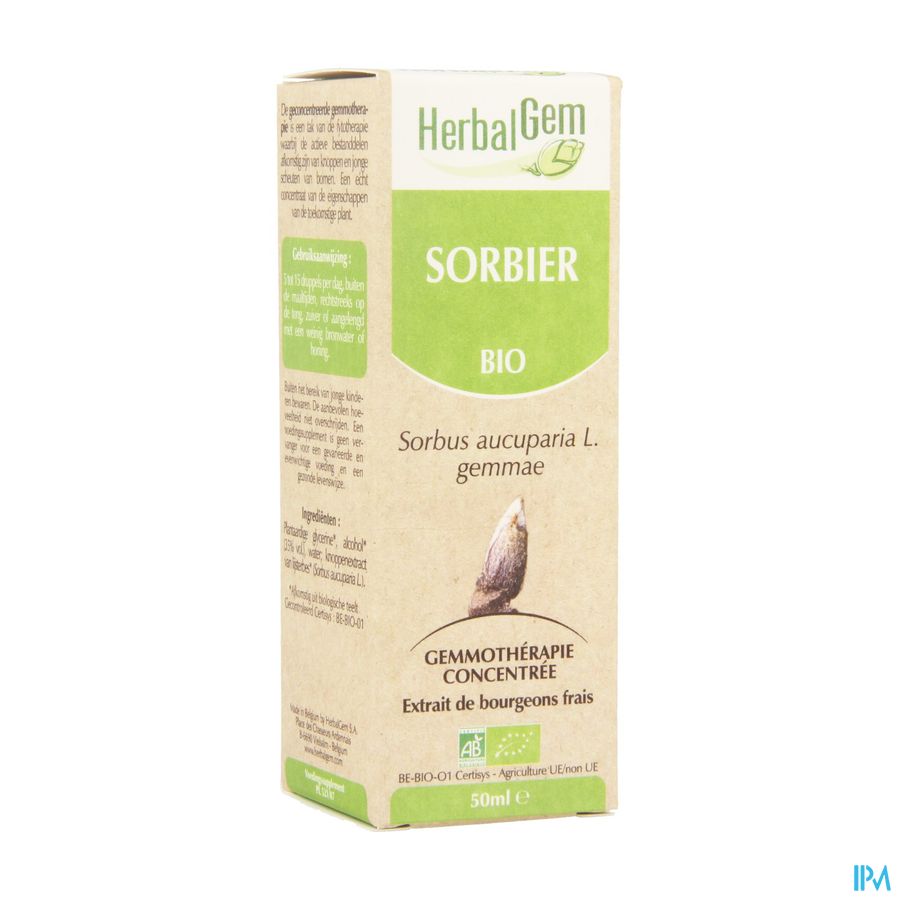 Herbalgem Sorbier Macerat 50ml Herbalgem Sorbier Macerat 50ml