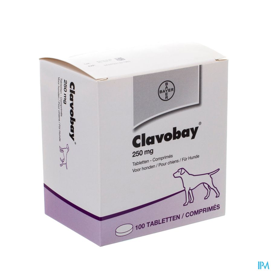 Clavobay 250mg Hond Comp 100