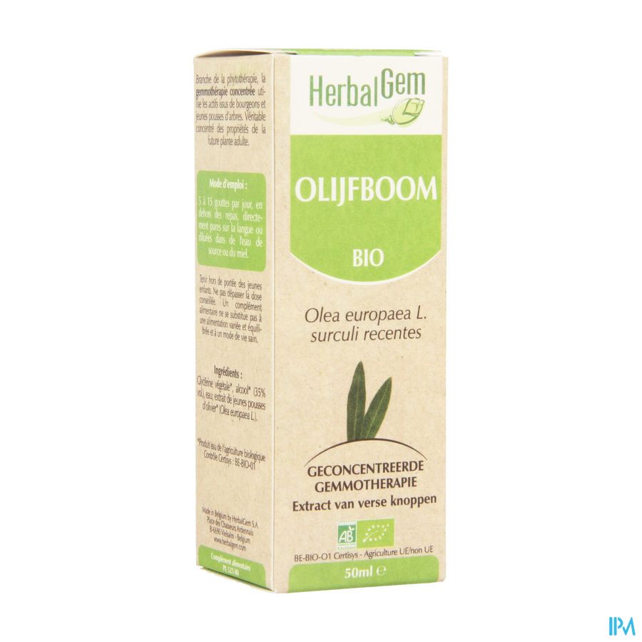 Herbalgem Olijfboom Maceraat 50ml Herbalgem Olijfboom Maceraat 50ml