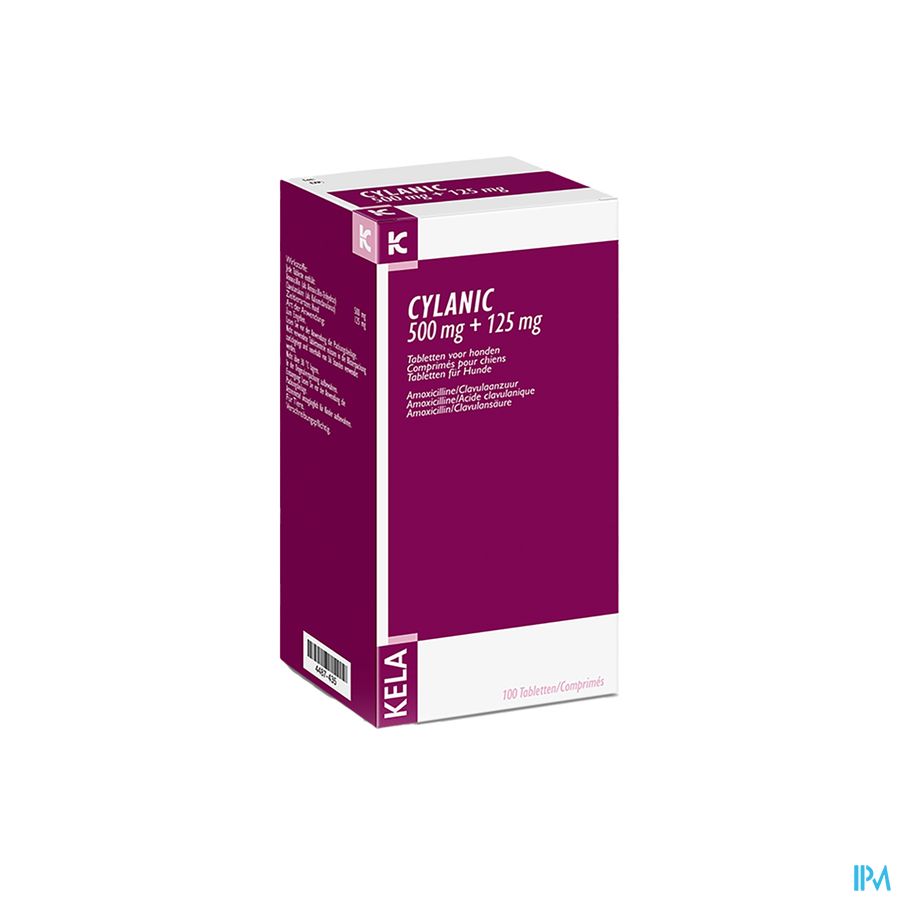 Cylanic 500mg+125mg Tabl Honden 100