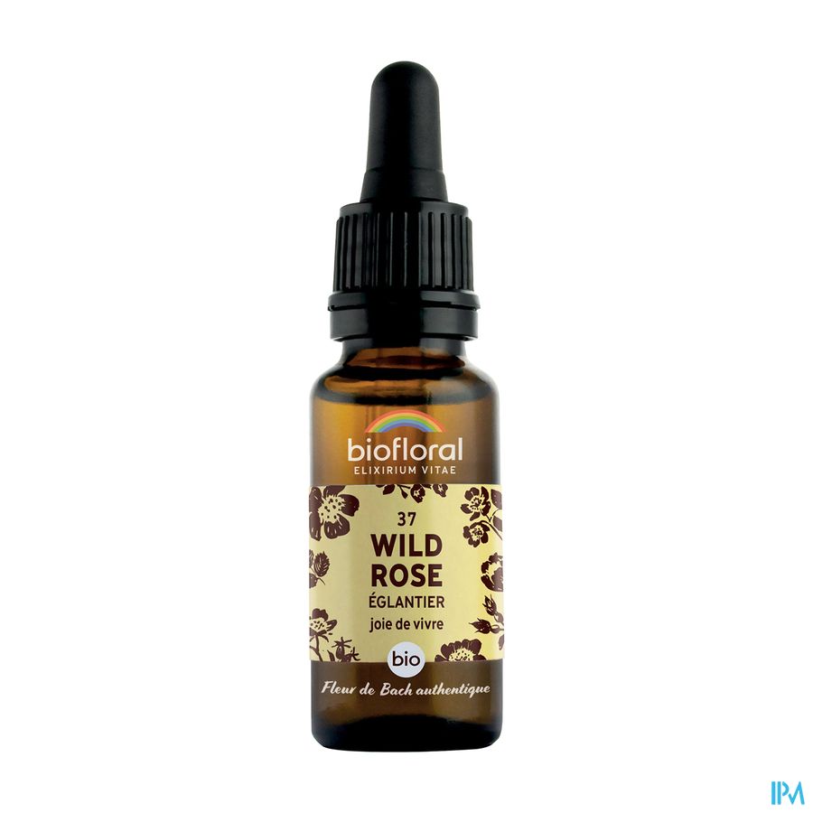 Biofloral Bachbloese.37 Wildrose Hondsroos Bio20ml Biofloral Bachbloese.37 Wildrose Hondsroos Bio20ml