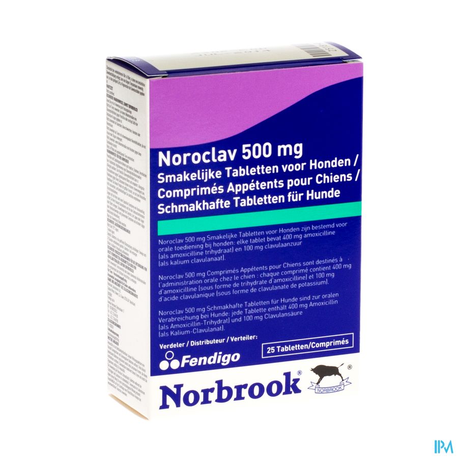 Noroclav 500mg Chien Tabl Appetents 25x500mg Noroclav 500mg Chien Tabl Appetents 25x500mg