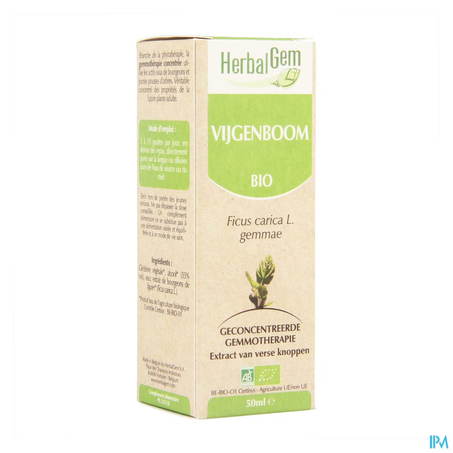 Herbalgem Vijgenboom Maceraat 50ml Herbalgem Vijgenboom Maceraat 50ml