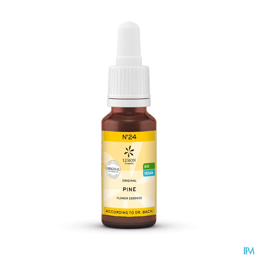 Bachbloesem Bio N°24 Pine 20ml