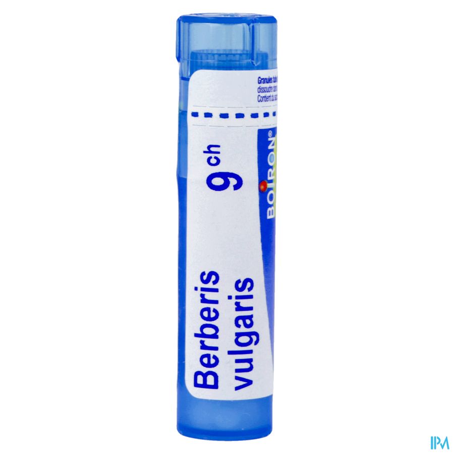 Berberis Vulgaris 9ch Gr 4g Boiron 2
