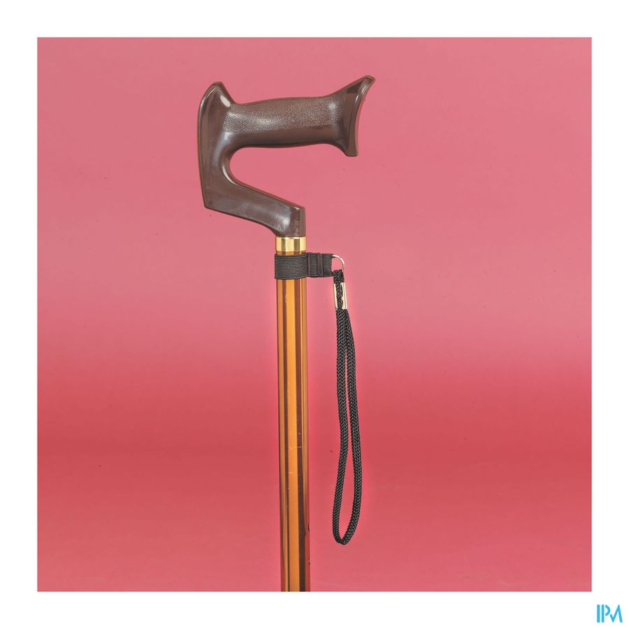 Laniere Pour Canne Advys Laniere Pour Canne Advys