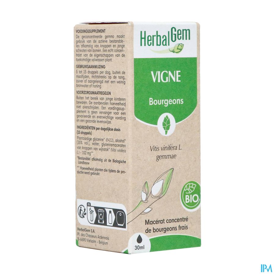 Herbalgem Wijnstok Maceraat Bio 30ml Herbalgem Wijnstok Maceraat Bio 30ml