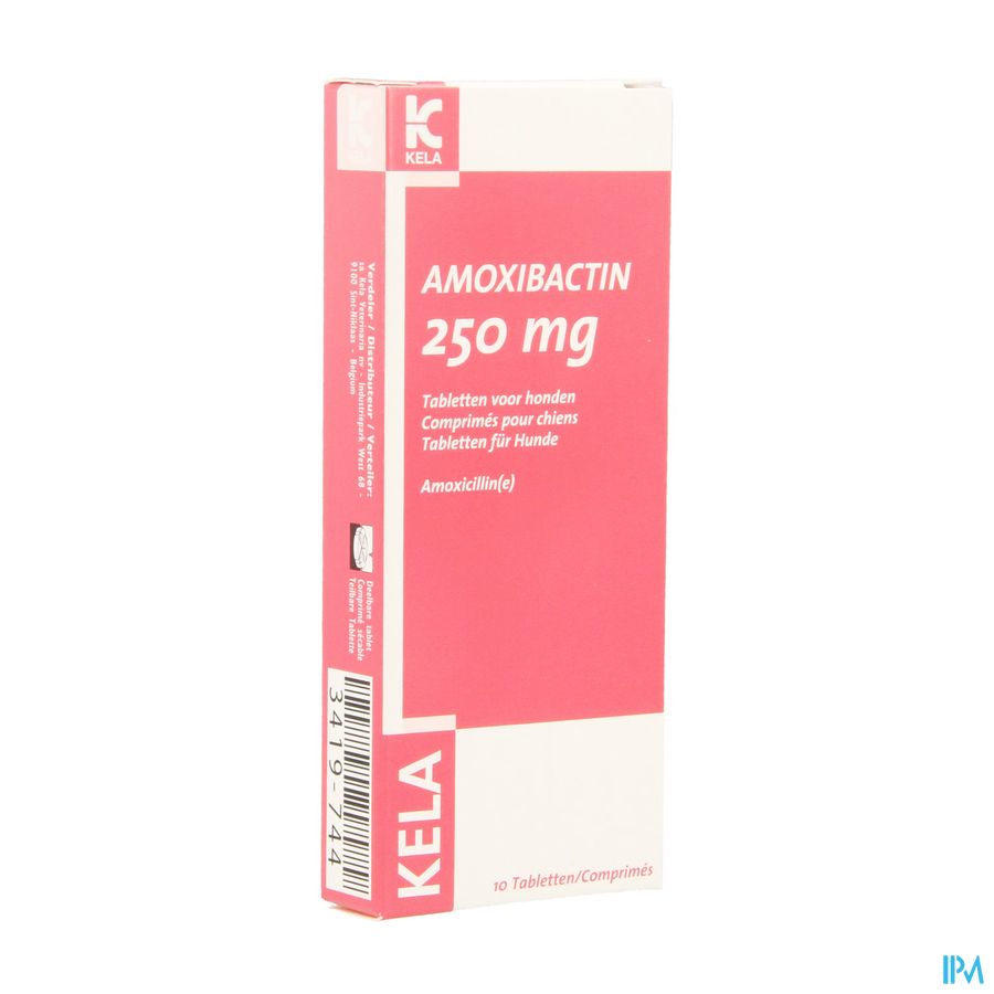 Amoxibactin 250mg Hond Comp 10 Amoxibactin 250mg Hond Comp 10