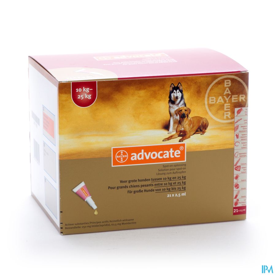 Advocate Spot On Grote Hond >10-25kg Pipet 21