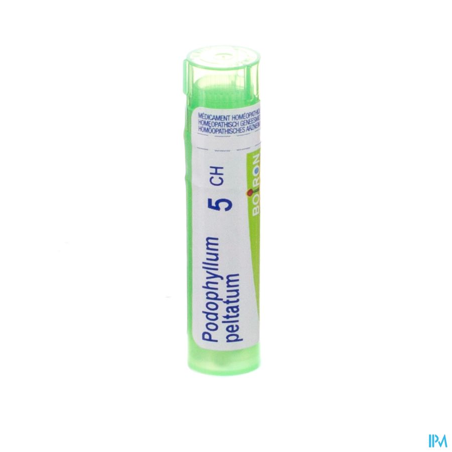 Podophyllum Peltatum 5ch Gr 4g Boiron Podophyllum Peltatum 5ch Gr 4g Boiron