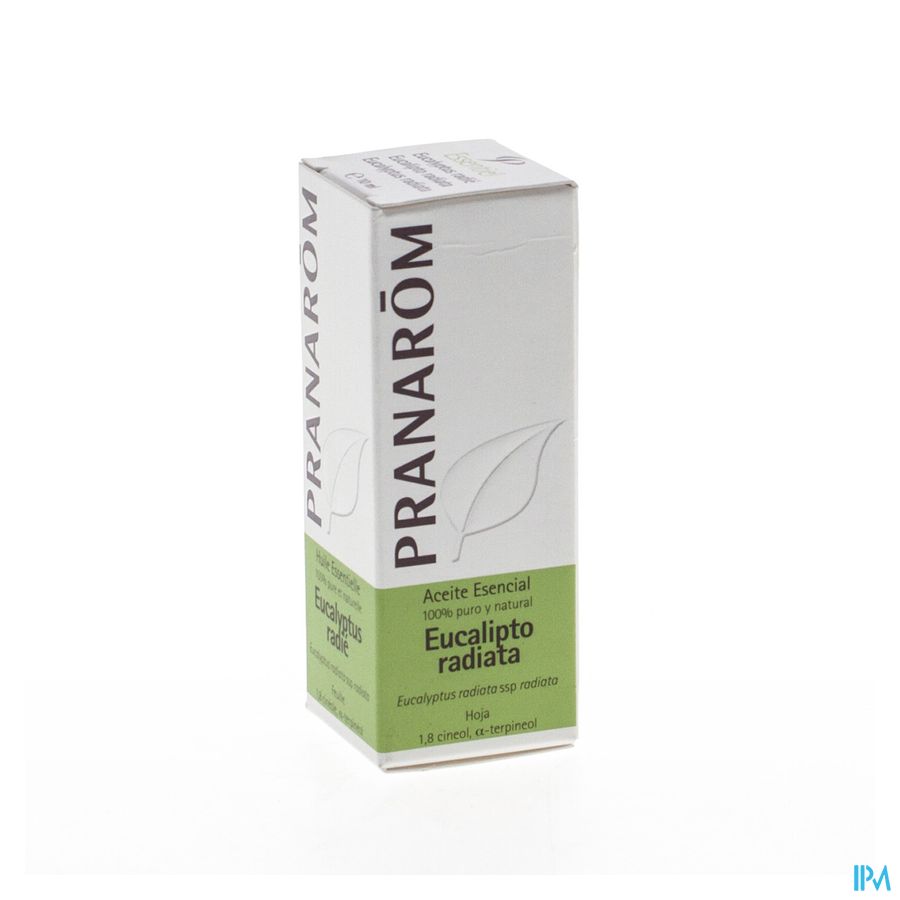 Pranarom Eo Eucalyptus Radiata 10ml 3