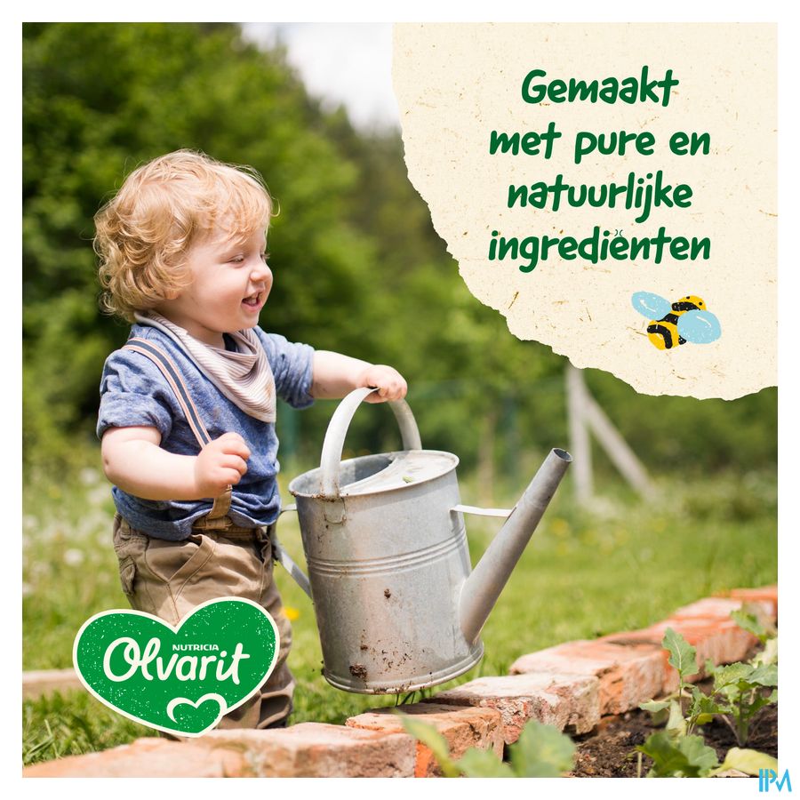 Olvarit Schotel 12m+ Spaghetti Bolognese 1x230gr 8