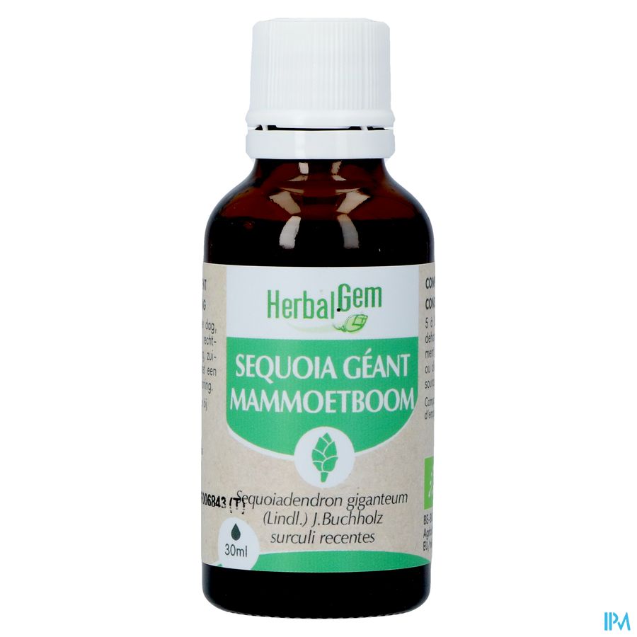 Herbalgem Mammoetboom Bio 30ml 2