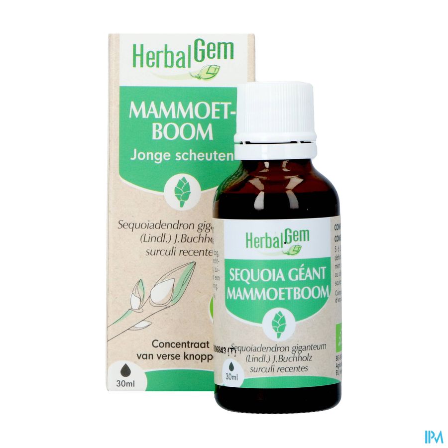 Herbalgem Mammoetboom Bio 30ml 7